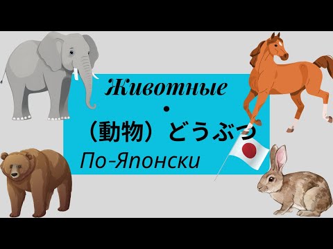 Видео: японский язык Животные・ （動物）どうぶつ