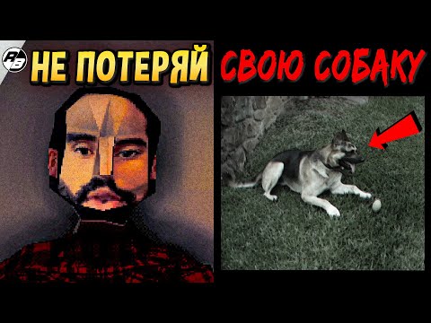 Видео: Не стоило мне терять свою собаку… | CANINE