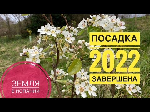 Видео: # 285 Земля В Испании. Посадка 2022 Закончена. Сельское Хозяйство В Испании. Земельный Участок