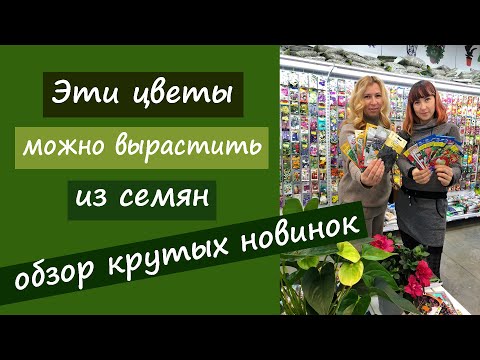 Видео: Эти цветы можно вырастить из семян. Обзор крутых новинок