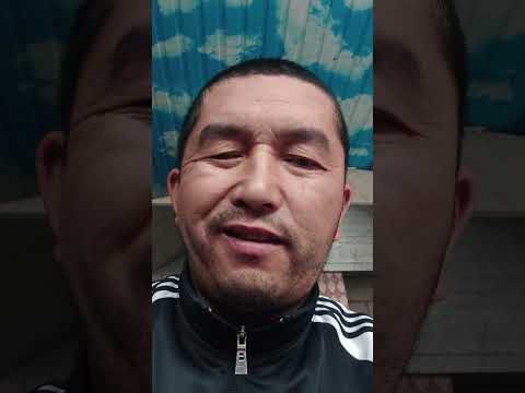 Видео: 13 октября 2025 г.