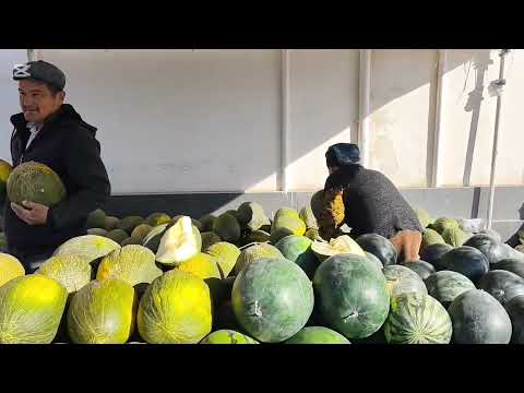 Видео: 9 НОЯБР 2025 ЖЫЛ ШЫМБАЙ ДИЙХАН БАЗАР