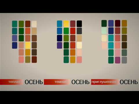 Видео: Алексан Мусаелян - Колористика. Урок№1. Цветотипы