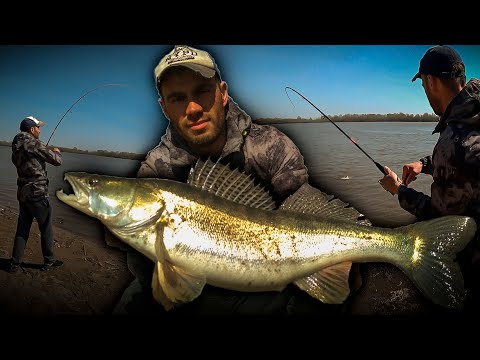 Видео: БОЛЬШИЕ СУДАКИ В ЧЕРТЕ ГОРОДА / РЫБАЛКА НА ДЖИГ В НОВОСИБИРСКЕ.