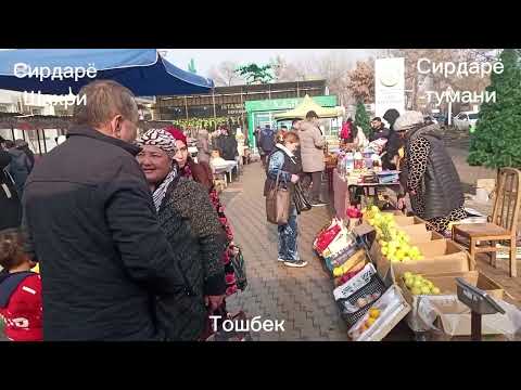 Видео: Сирдарё Янги йил