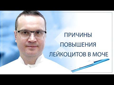 Видео: Причины повышения лейкоцитов в моче