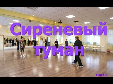 Видео: Сиреневый туман  Мастер класс для начинающих  Твс соло 3  Омск! Lariva Dance  12 11 2024 г