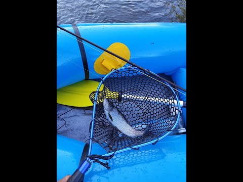 Видео: Вечерняя рыбалка с пакрафтом Нахлыст, хариус