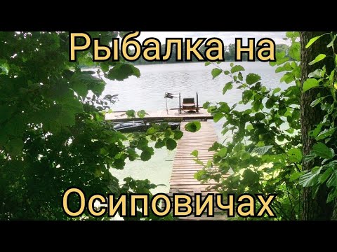 Видео: Рыбалка на Осиповичском водохранилище. Ловля леща на фидер. Рыбалка в Беларуси.