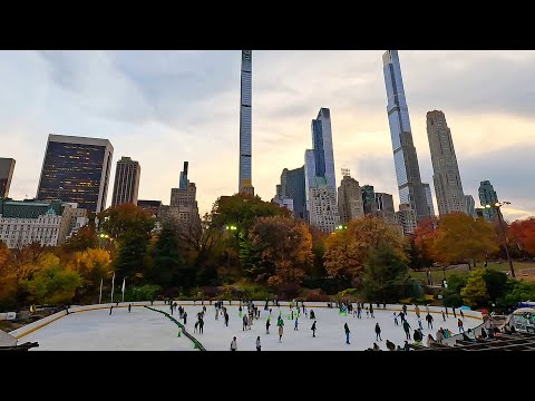 Видео:  Осень в Нью-Йорке /Прогулка по Центральному парку/ Наша Медицинская страховка 