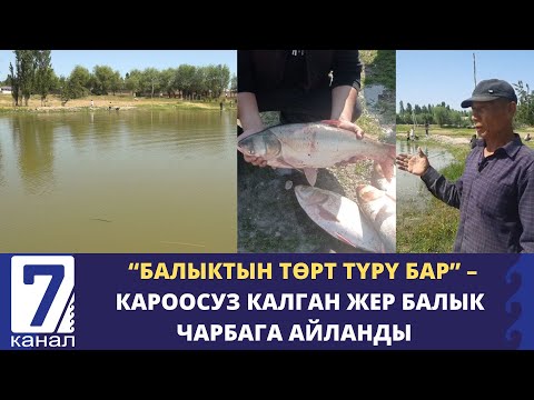 Видео: ТАШТАНДЫ ЖЕРДИ КӨЛГӨ АЙЛАНТЫП, БАЛЫК ЧАРБАСЫН ТҮПТӨГӨН ТУРГУН