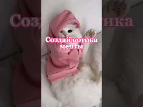 Видео: Создай котика мечты #выбирашки #vs #кот #котики #выбери #создай #shortvideo