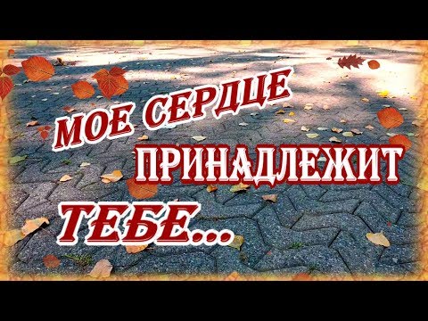 Видео: Для самого лучшего мужчины на свете...