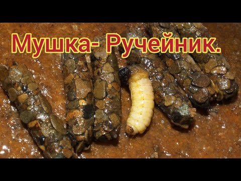 Видео: Иммитация ручейника.Уловистая мушка на Хариуса и Ленка!