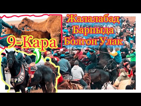 Видео: 😱🥶Мындай эчким сору сайган эмесУлак 9-караны машинаны Кимдер таштады @BARPYKG