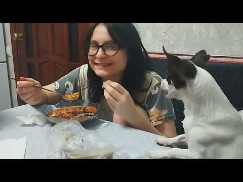 Видео: Следит за мной и пакостит 😔