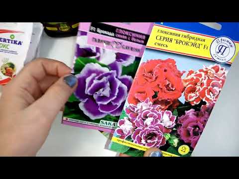 Видео: Распаковка посылки, семена глоксинии, полезности для цветов