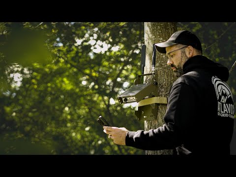 Видео: Настройка узла солнечной сетки Atlavox Beacon