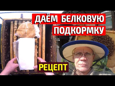 Видео: Белковая подкормка пчел Рецепт в видео Февраль утепляем пчёл