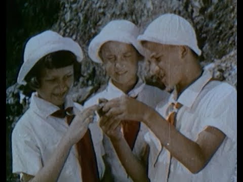Видео: У теплого моря (1940). Артек.