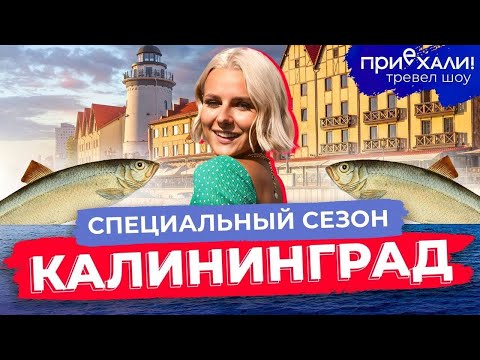 Видео: КАЛИНИНГРАД | Остров Канта, Куршская Коса, активный отдых на воде и кулинарные традиции | Приехали!