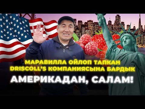 Видео: Америкалыктар менен көп келишимдерди түзүп келдик!