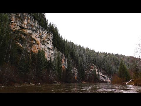 Видео: Река брошенных лагерей / суровый майский сплав по Койве от п. Старый Бисер до Усть-Койвы. №242