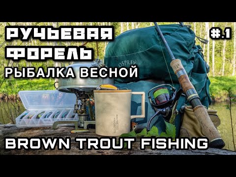 Видео: РУЧЬЕВАЯ ФОРЕЛЬ на СПИННИНГ Как поймать Секреты ловли - Рыбалка в Ленинградской области