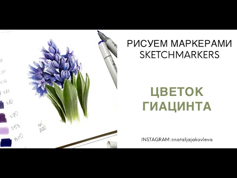 Видео: Как рисовать маркерами SKETCHMARKERS? Рисуем скетч ЦВЕТЫ ГИАЦИНТА