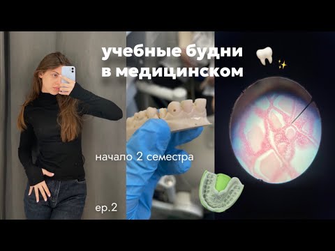 Видео: как проходят типичные учебные дни в меде? 🦷📚// подготовка к парам и зачетам