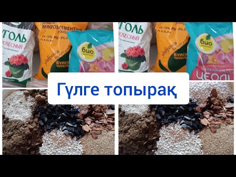 Видео: ГҮЛ ӨСПЕСЕ 100% ӨСІРЕТІН ТОПЫРАҚ ҚҰРАМЫ ҚОСПАСЫ