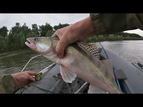 Видео: ПО ОБИ НА ТРОЛЛИНГ!ТАШАРА _УМРЕВА!ТРОЛЛИНГ РУЛИТ!!!
