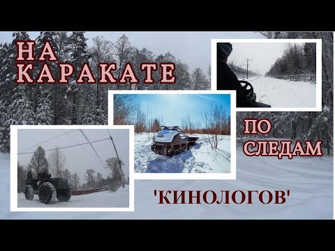Видео: На КАРАКАТЕ в зимний лес по следам "КИНОЛОГОВ"