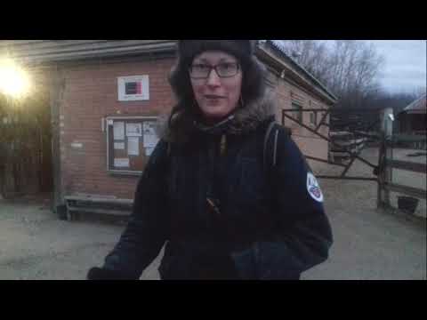 Видео: Про сёдла. Вестерн седло.