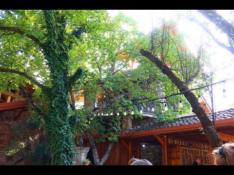 Видео: влог винодельня