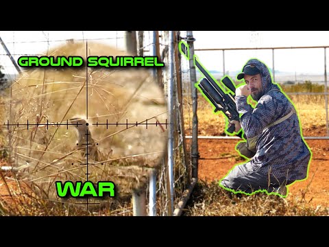 Видео: Не стоит недооценивать малую мощность — Delta Wolf .22HP с легкостью справляется с ними!