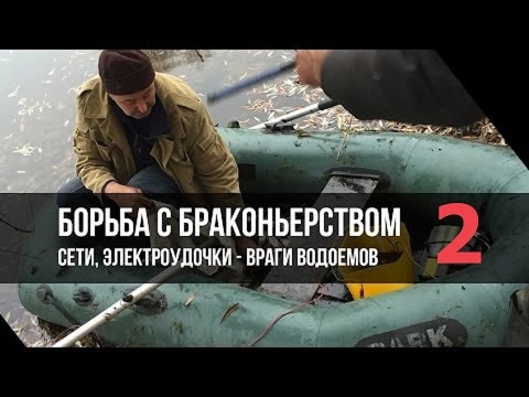 Видео: Борьба с браконьерами. Семейная пара