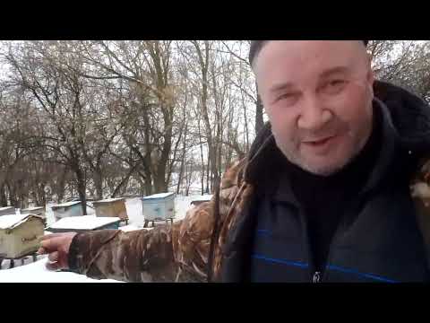 Видео: Слабонервным не смотреть