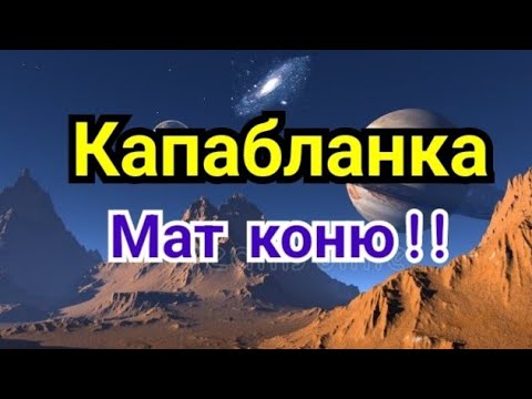 Видео: 4) Лекция.  Капабланка               Мат коню!!