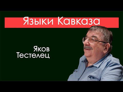 Видео: Языки Кавказа. Весь язык собрался вокруг нас