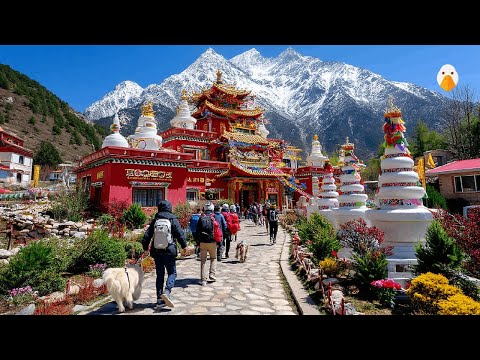 Видео: Даочэн Ядин, Китай🇨🇳 Тибетская Страна Снега и Духа! (4K HDR)