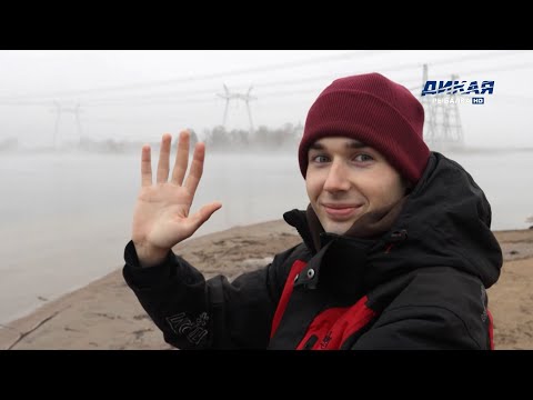 Видео: Рыбы-пришельцы озера Удомля. Моя рыбалка. Рыбий жир
