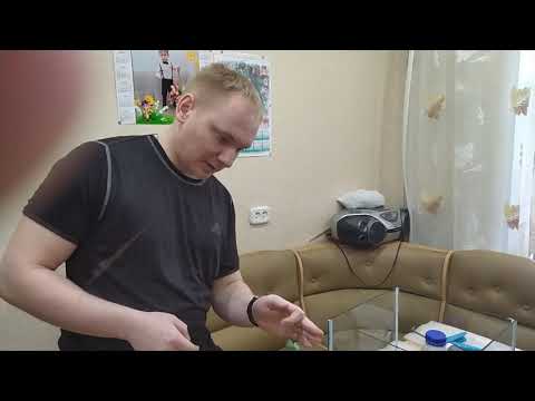 Видео: Аквариум кубик за 10 минут