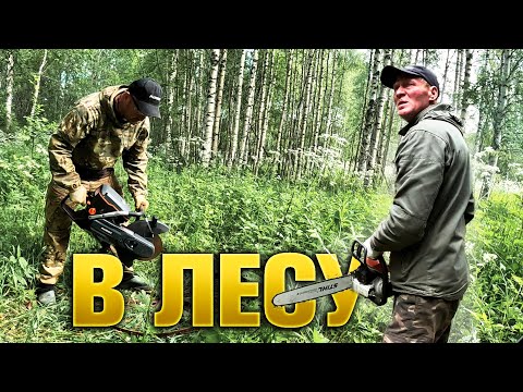 Видео: ЕДЕМ В ЛЕС. ВЗЯЛИ БЕНЗОРЕЗ! СО МНОЙ ГОЛОВОРЕЗ!