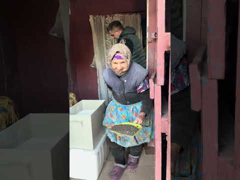 Видео: Подписывайтесь на наш канал добра🫶🏻бабки🪖🪖🪖