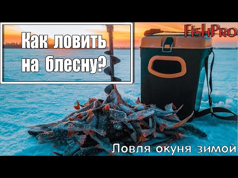 Видео: Ловля окуня зимой  Как ловить на блесну? Часть 1