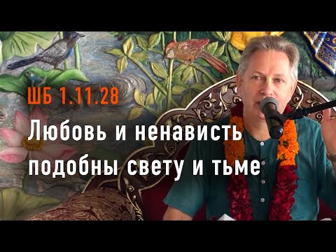 Видео: 2023-09-02 - ШБ 1.11.28 - Любовь и ненависть подобны свету и тьме
