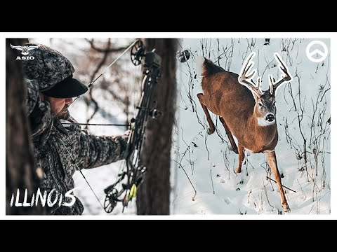Видео: Охота с луком, Иллинойс, ОБЩЕСТВЕННЫЕ ЗЕМЛИ | Конец сезона
