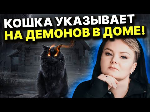 Видео: Правдивые приметы о котах! Можно ли получить помощь умершего кота и встретить его?Анастасия Казачок
