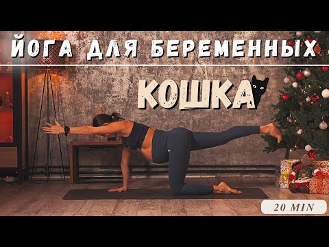 Видео: ЙОГА ИЗ ПОЛОЖЕНИЯ КОШКИ. ДЛЯ БЕРЕМЕННЫХ. 20 МИН.